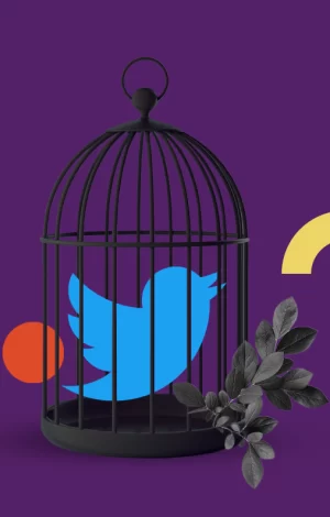 E o possível “adeus” do Twitter?